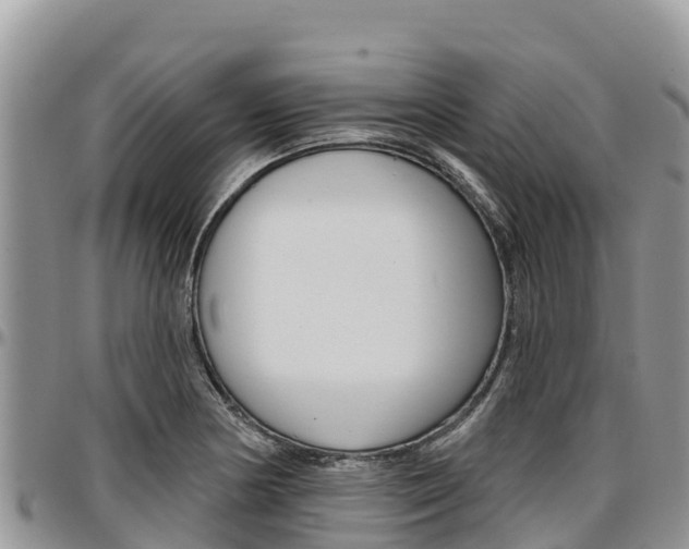X0000097291178200802151051