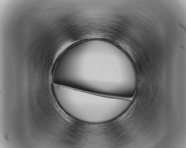 X0000097291179200802151051