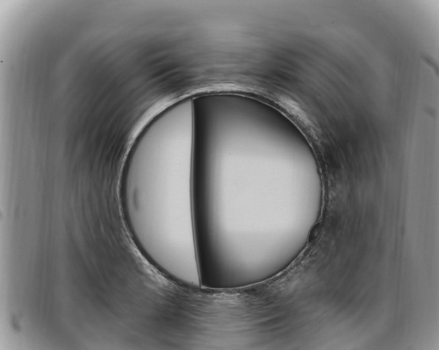 X0000097291181200802151051