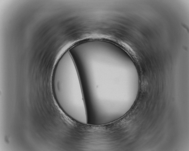 X0000097291183200802151051