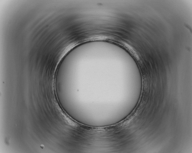 X0000097291186200802151051