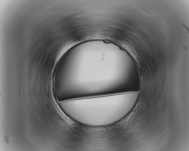 X0000097291187200802151051