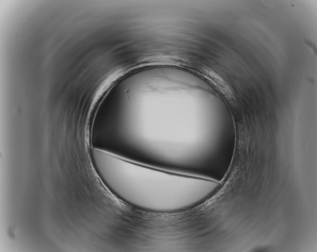 X0000097291188200802151051