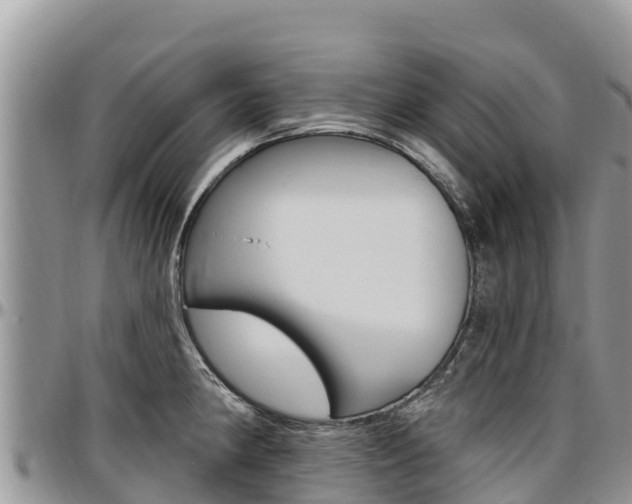 X0000097291190200802151051