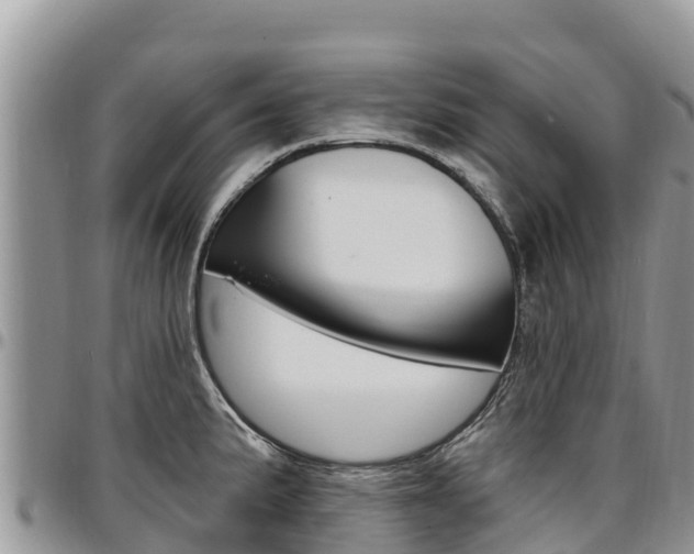 X0000097291191200802151051
