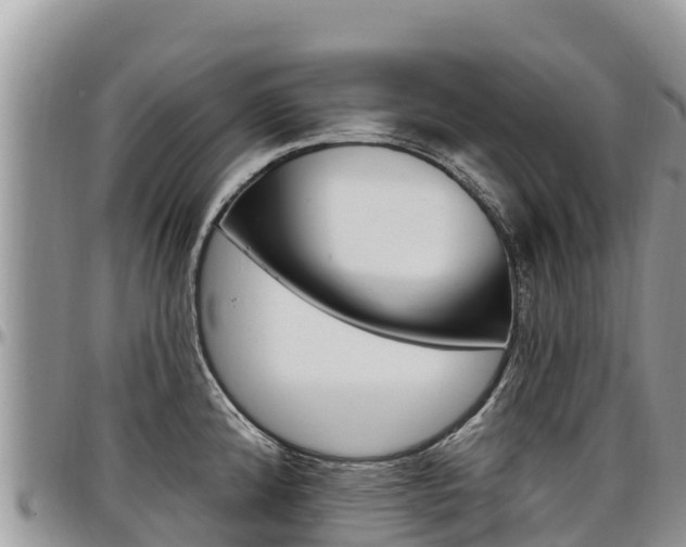 X0000097291192200802151051