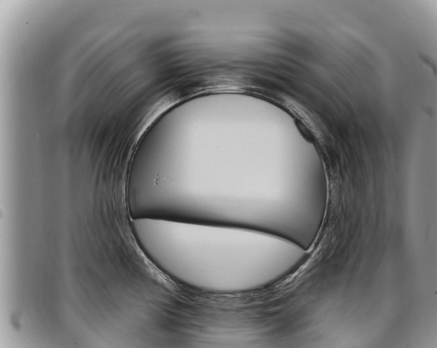 X0000097291194200802151051