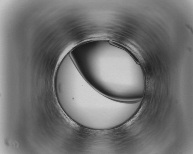 X0000097291196200802151051