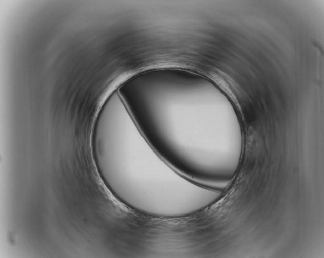X0000097291197200802151051