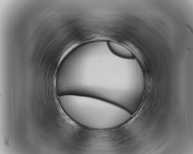 X0000097291198200802151051