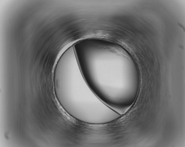 X0000097291200200802151051