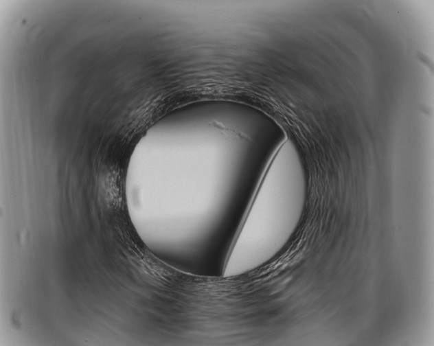 X0000097291202200802151050
