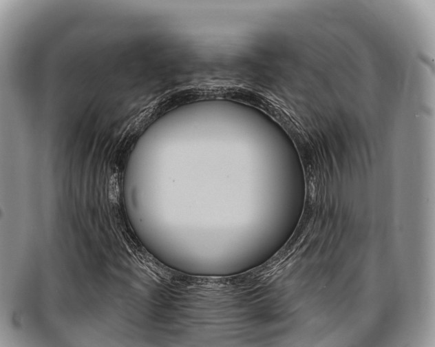 X0000097291204200802151050