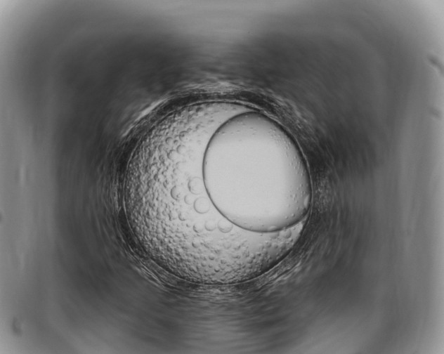 X0000097291205200802151050