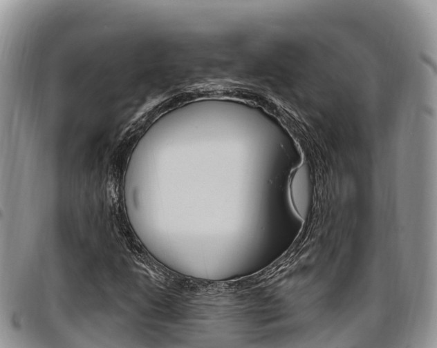 X0000097291206200802151050