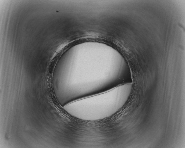 X0000097291208200802151050