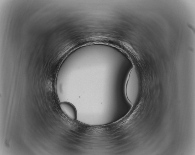 X0000097291209200802151050