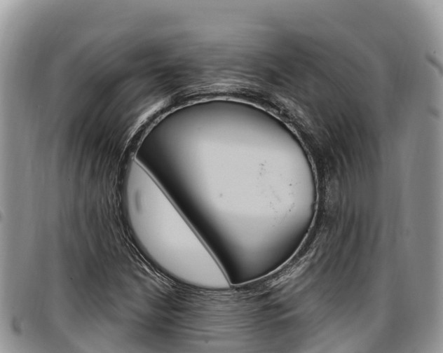 X0000097291210200802151050