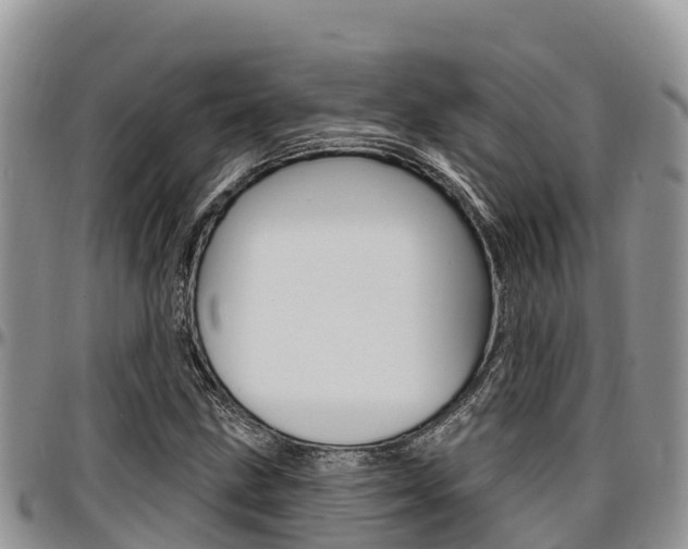 X0000097291211200802151051