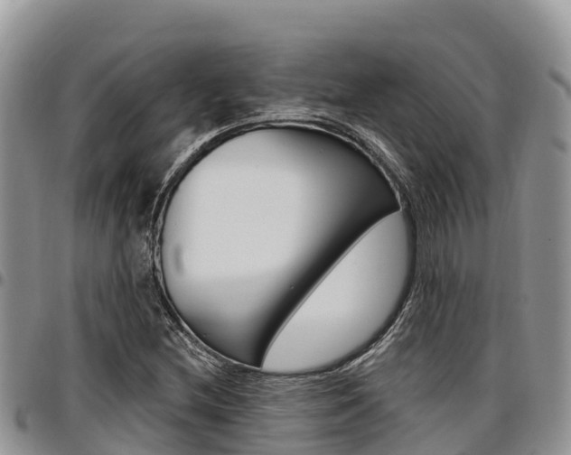 X0000097291212200802151051