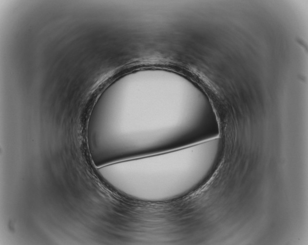 X0000097291213200802151051