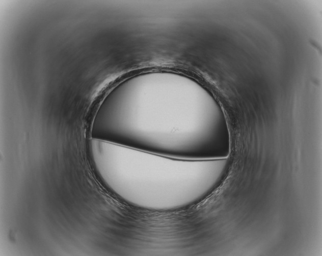 X0000097291214200802151051