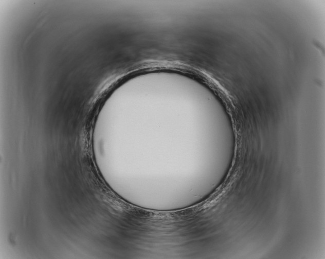 X0000097291215200802151051