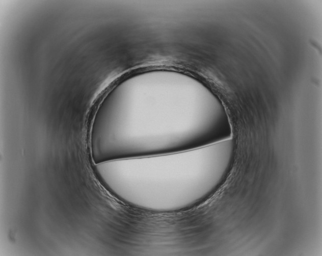 X0000097291216200802151051