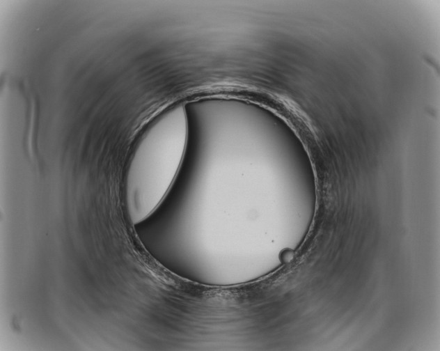 X0000097291217200802151051
