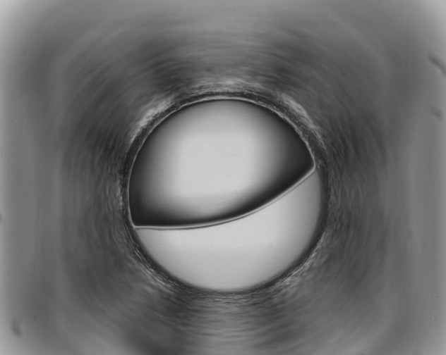 X0000097291218200802151051