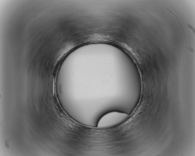 X0000097291219200802151051