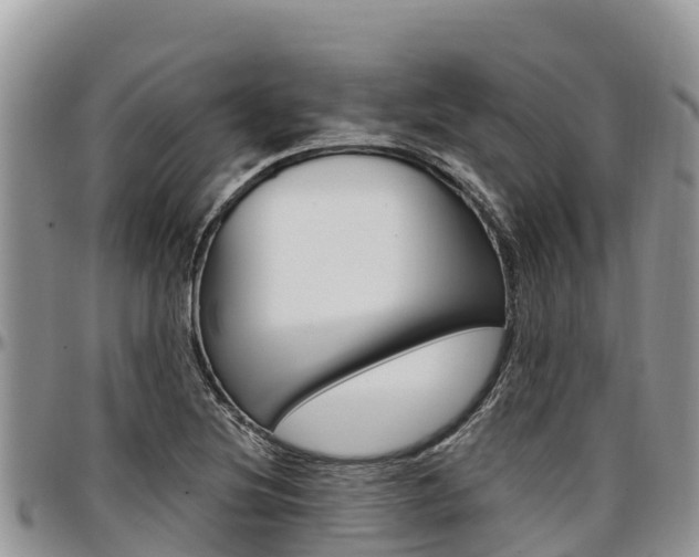X0000097291220200802151051