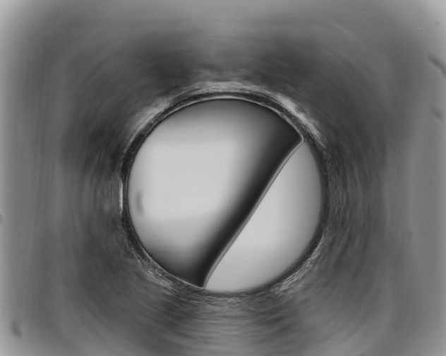 X0000097291221200802151051