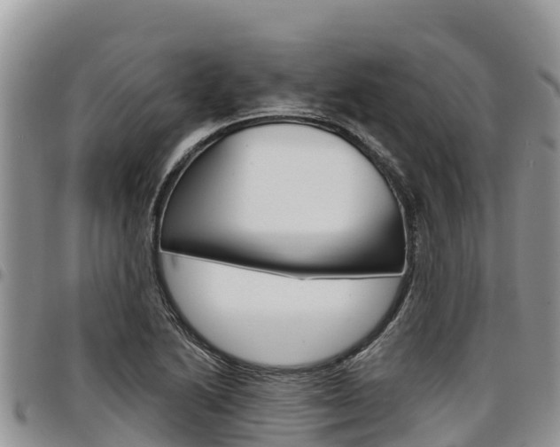 X0000097291222200802151051