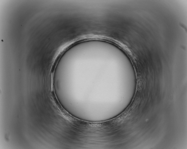 X0000097291223200802151051