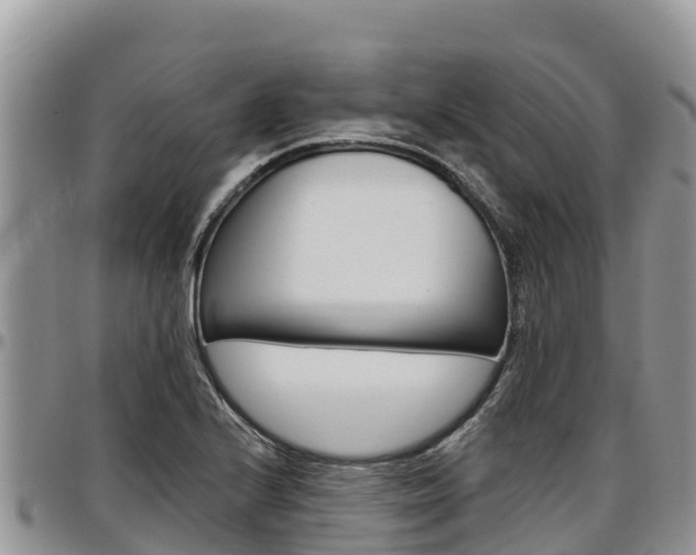 X0000097291224200802151051