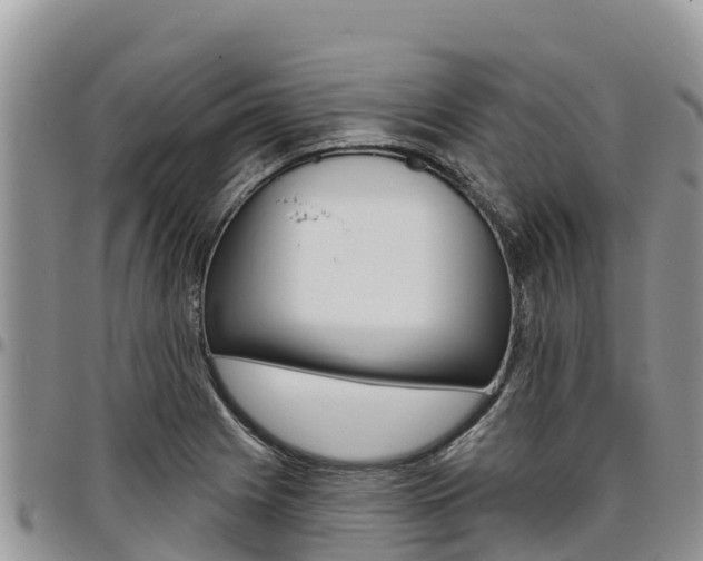 X0000097291225200802151051