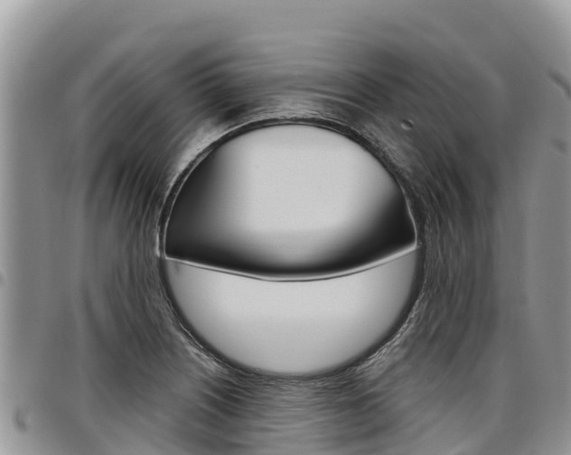 X0000097291226200802151051