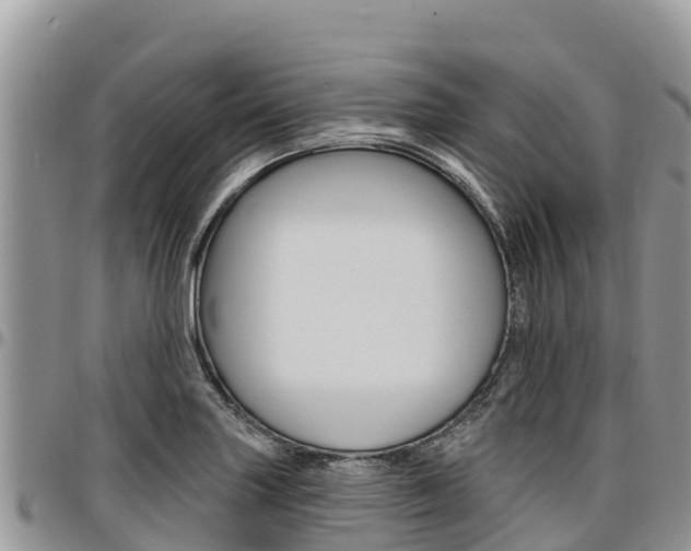 X0000097291227200802151051