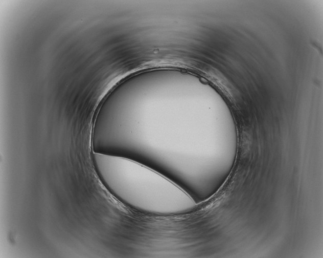 X0000097291228200802151051