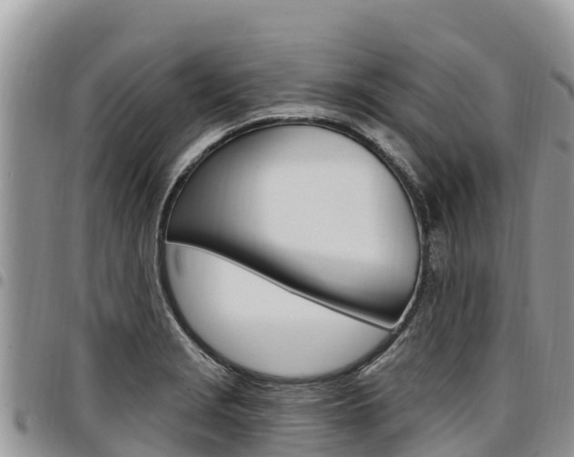 X0000097291229200802151051