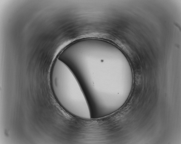 X0000097291230200802151051