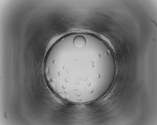 X0000097291231200802151051