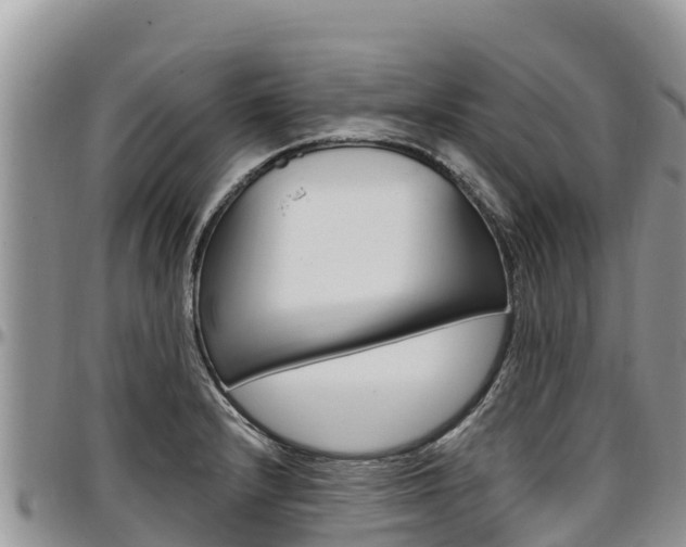 X0000097291232200802151051