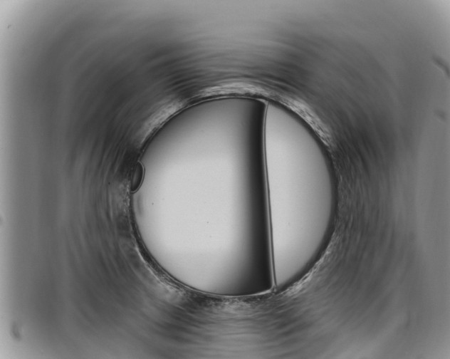 X0000097291233200802151051