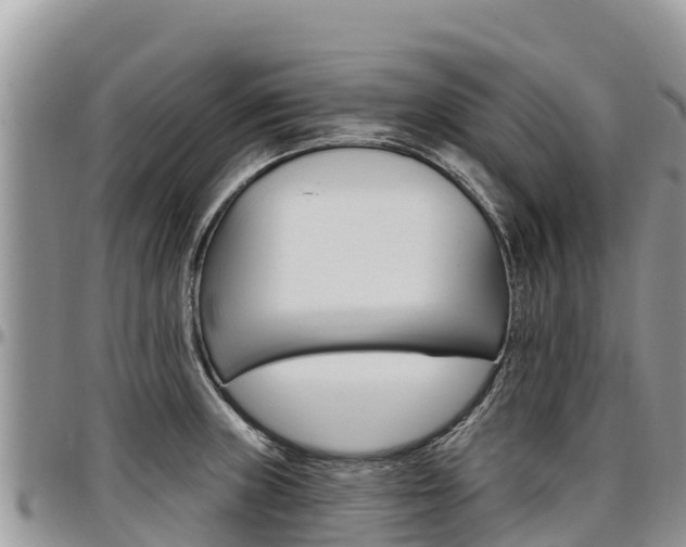 X0000097291235200802151051