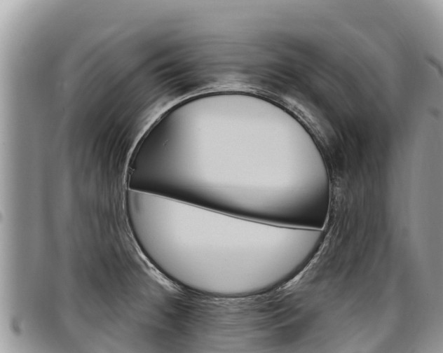 X0000097291236200802151051