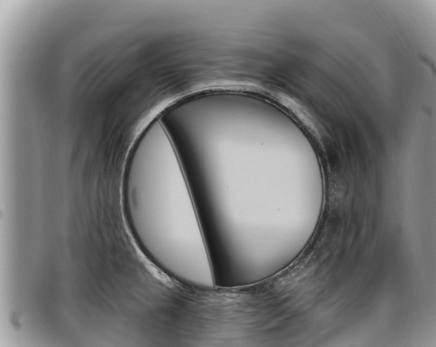 X0000097291237200802151051