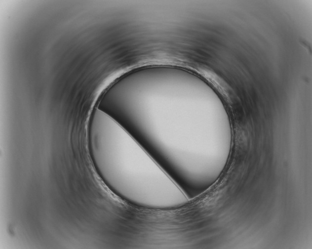 X0000097291238200802151051