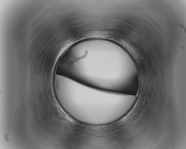 X0000097291240200802151051
